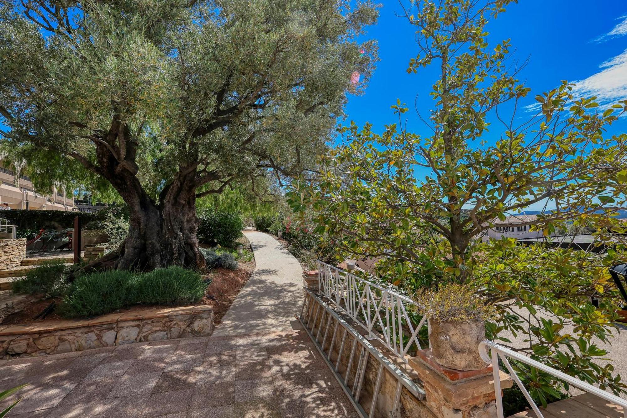 Hotel Domaine Des Gueules Cassees La Valette-du-Var Exteriér fotografie